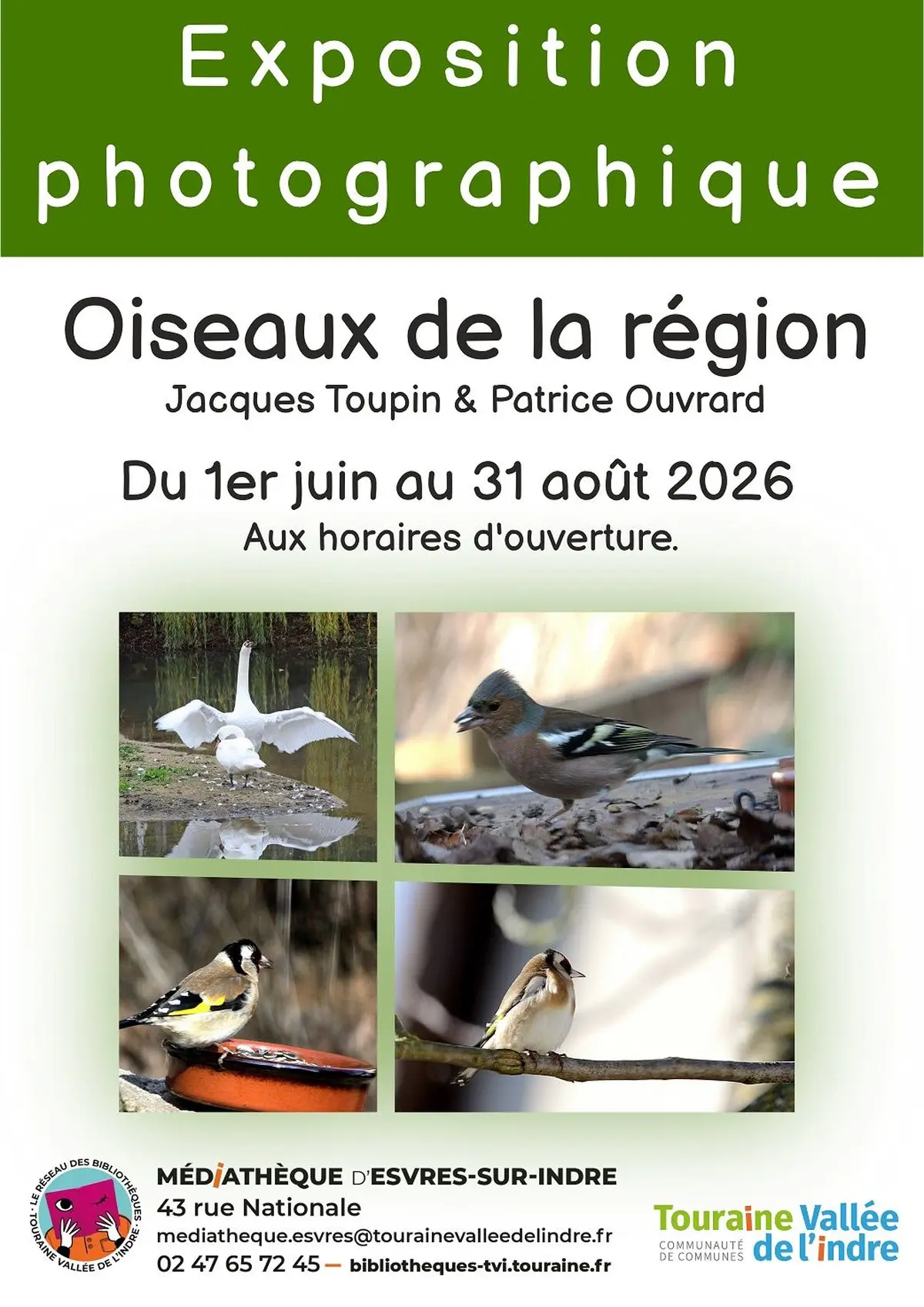 Exposition photographique Oiseaux de la région