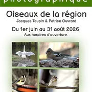 Exposition photographique Oiseaux de la région