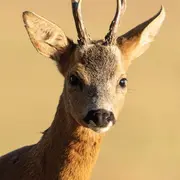 Exposition photographique par Michel Royer