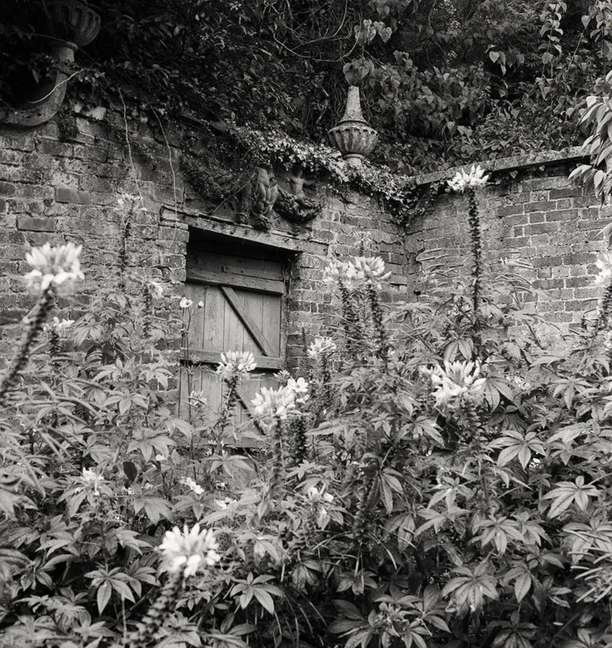 Exposition photographique Secret Gardens chez Livres Books & Co