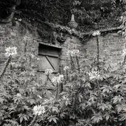 Exposition photographique Secret Gardens chez Livres Books & Co