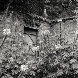 Exposition photographique Secret Gardens chez Livres Books & Co