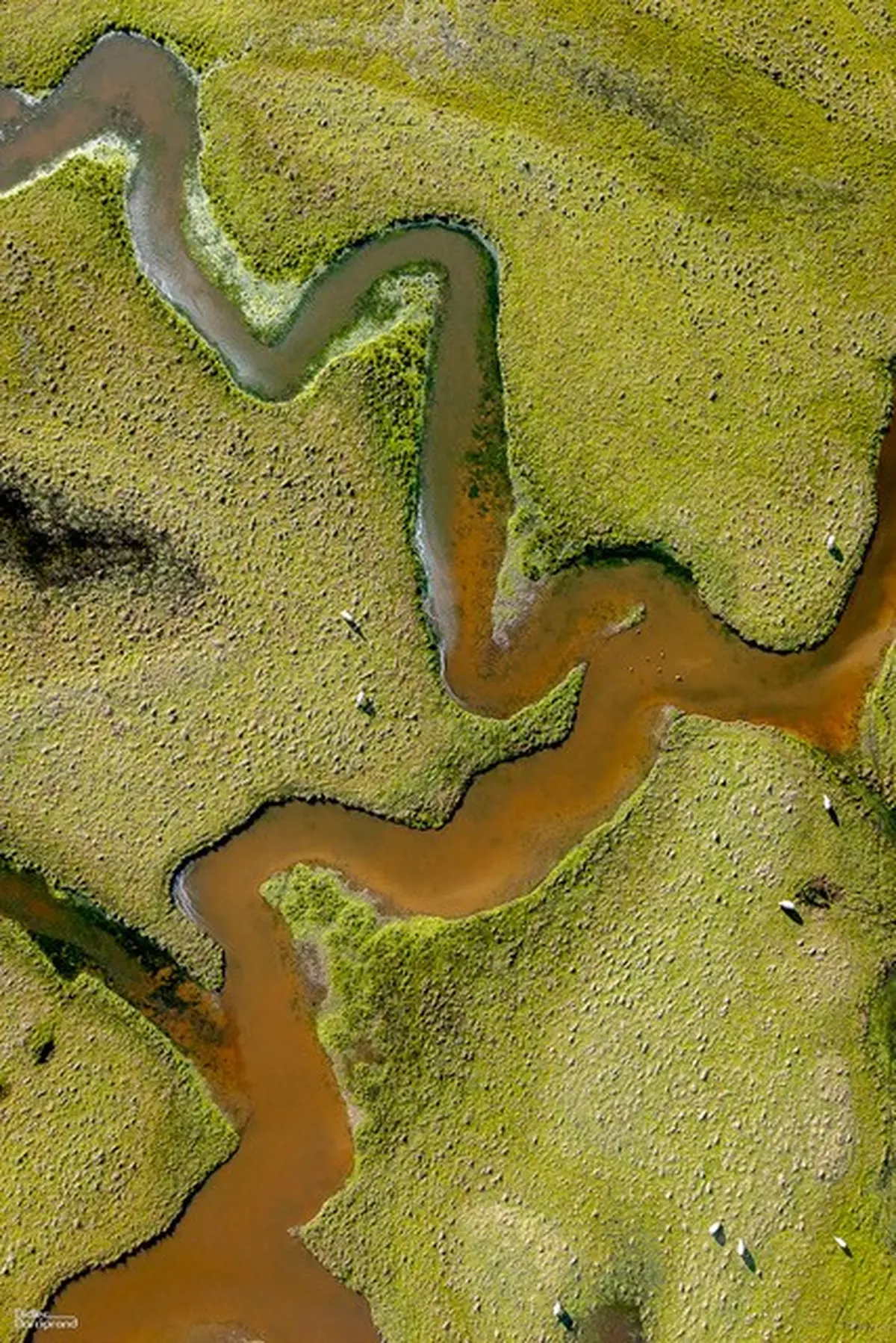 Exposition Photographismes