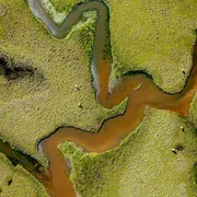 Exposition Photographismes