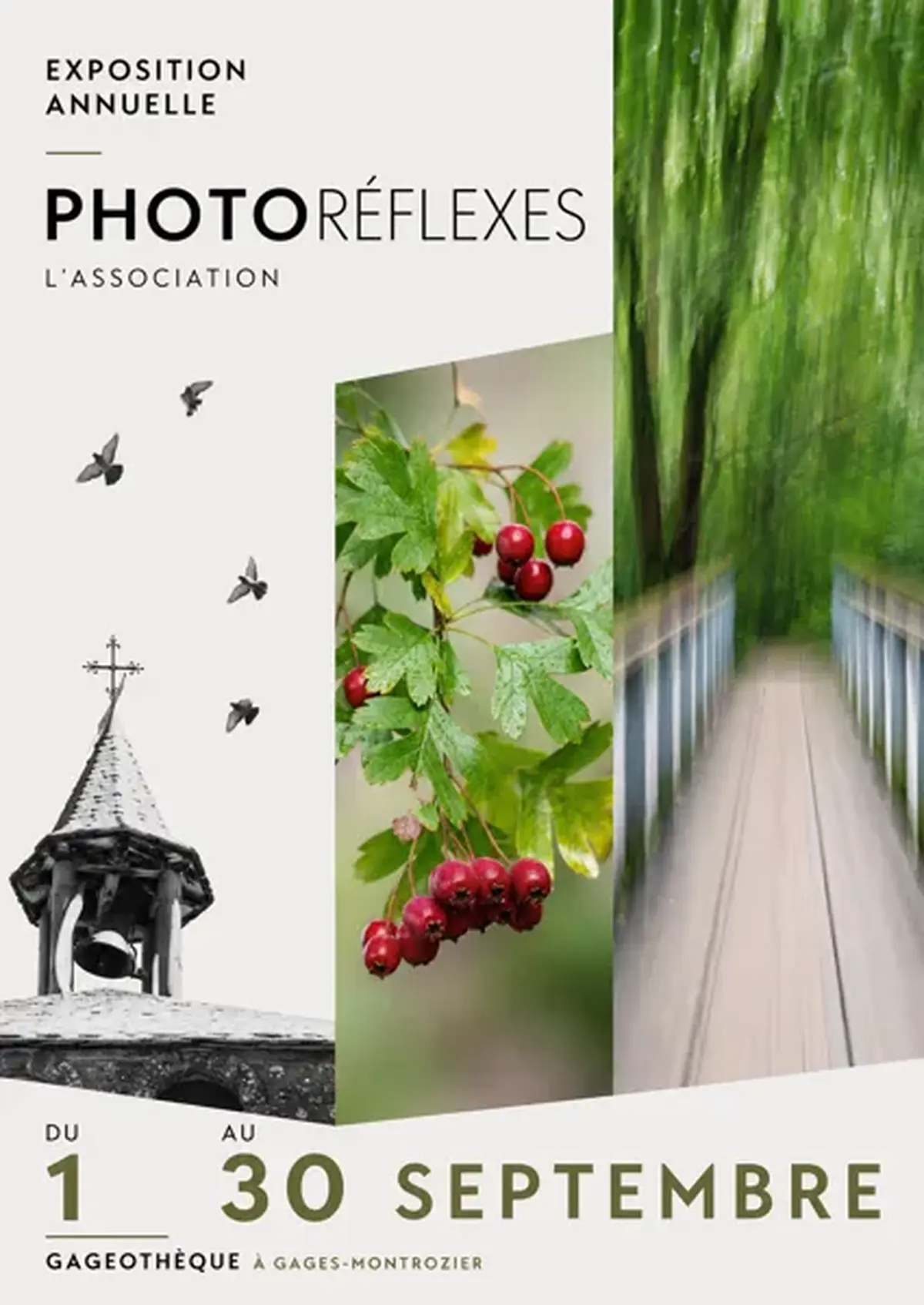 Exposition - Photoréflexes