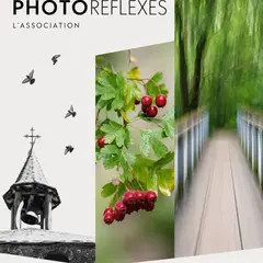 Exposition - Photoréflexes