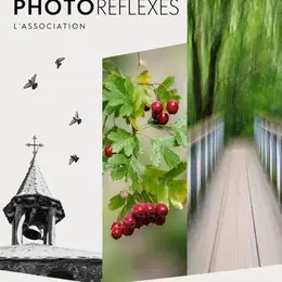 Exposition - Photoréflexes