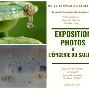 Exposition photos