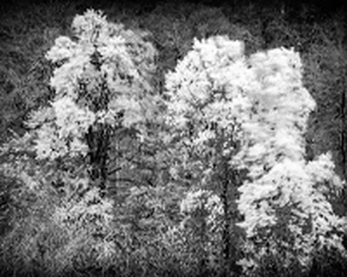 Exposition Photos