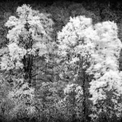 Exposition Photos
