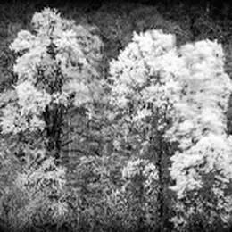 Exposition Photos