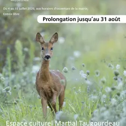Exposition photos animalière