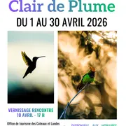 Exposition : Photos animalières