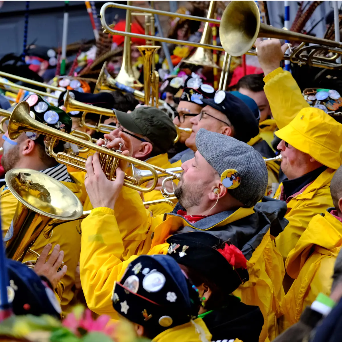 Exposition photos Carnaval des Flandres