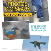 Exposition photos d’oiseaux