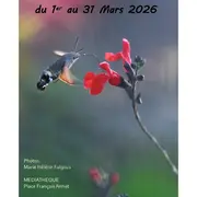 Exposition photos de Marie-Hélène Falgous