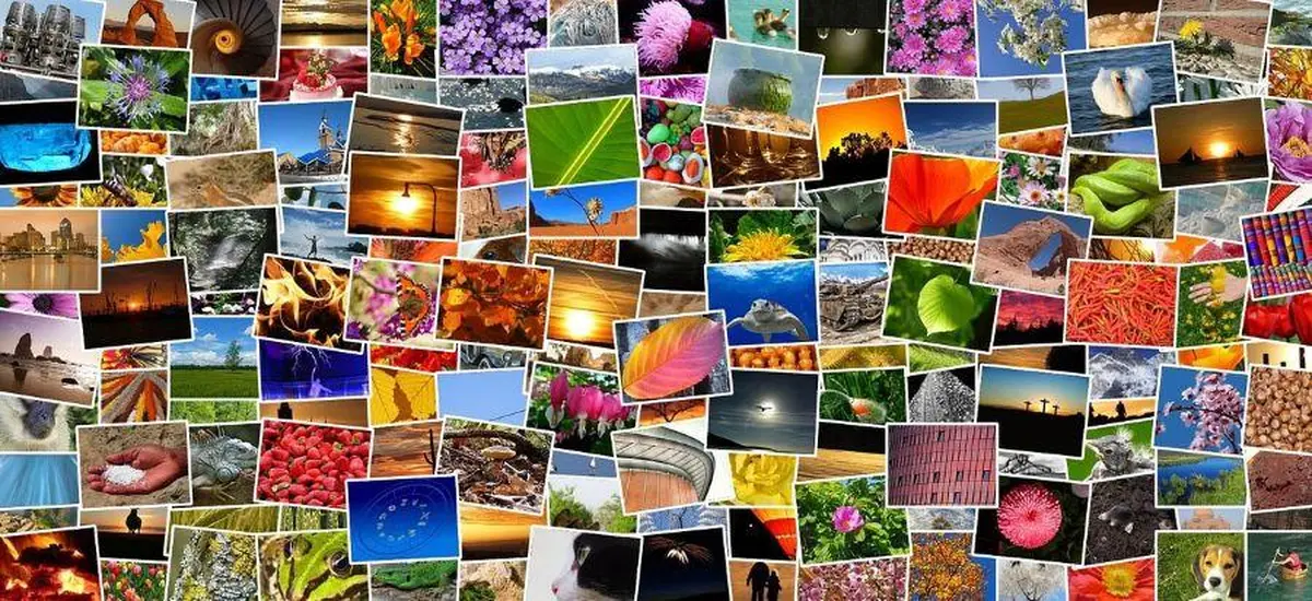 Exposition photos en plein air
