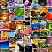 Exposition photos en plein air