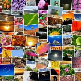 Exposition photos en plein air