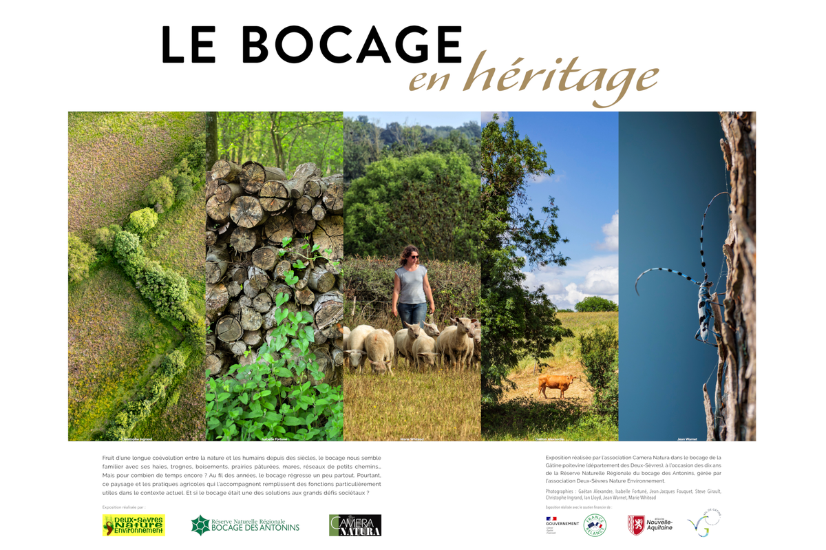 Exposition photos : Le bocage en héritage
