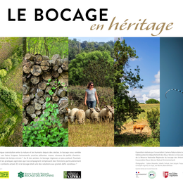 Exposition photos : Le bocage en héritage