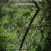 Exposition photos « Le Marais, conteur de beautés » par Sandrine Messéan à Niort