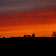 Exposition Photos - Lozère, Dans L'Intimité De La Vie Sauvage