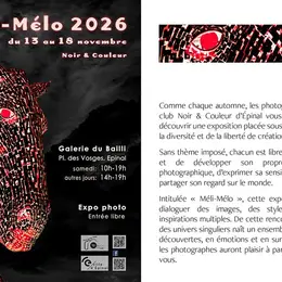 Exposition photos MELI MELO