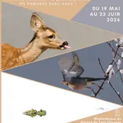 Exposition Photos Nature