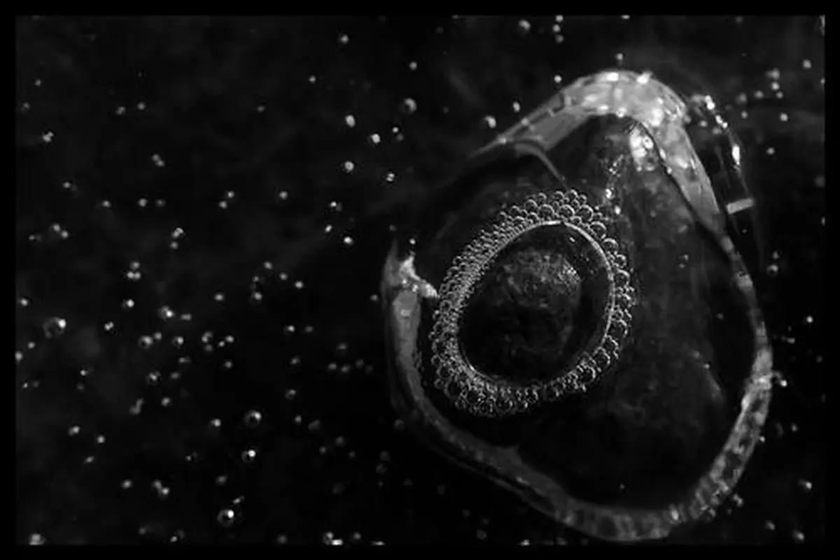 Exposition photos noir et blanc