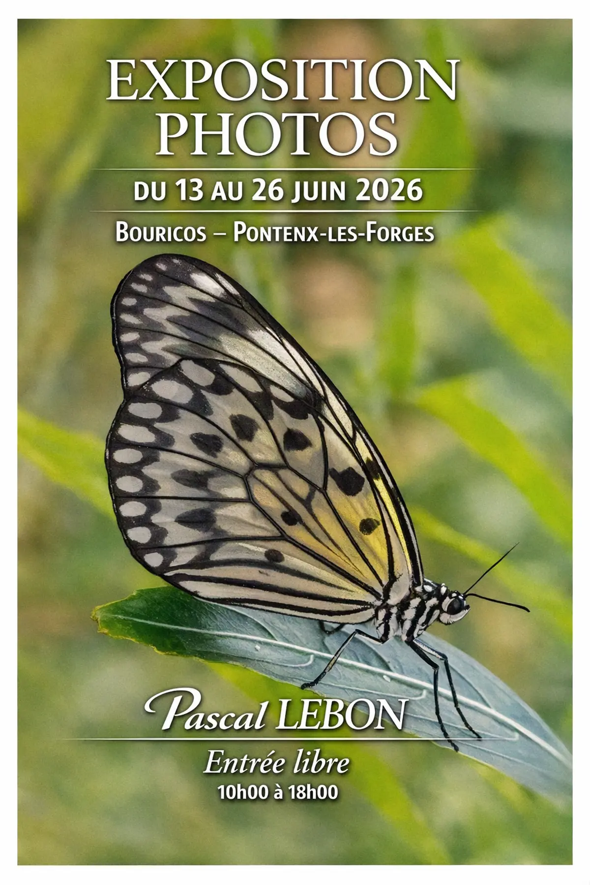 Exposition photos - Pascal Lebon
