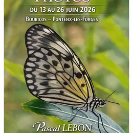 Exposition photos - Pascal Lebon
