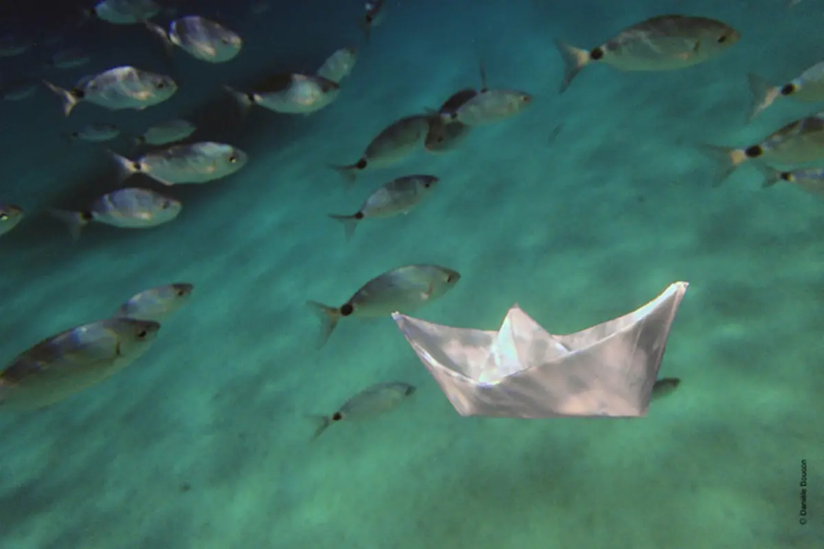Exposition Photos Voir La Mer De Danièle Boucon