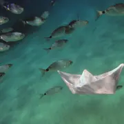 Exposition Photos Voir La Mer De Danièle Boucon