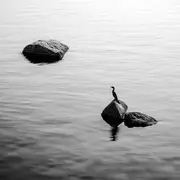 Exposition Pierre Dupuy