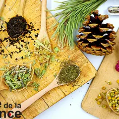 Exposition “Plantes aux mille vertus” - FÊTE DE LA SCIENCE