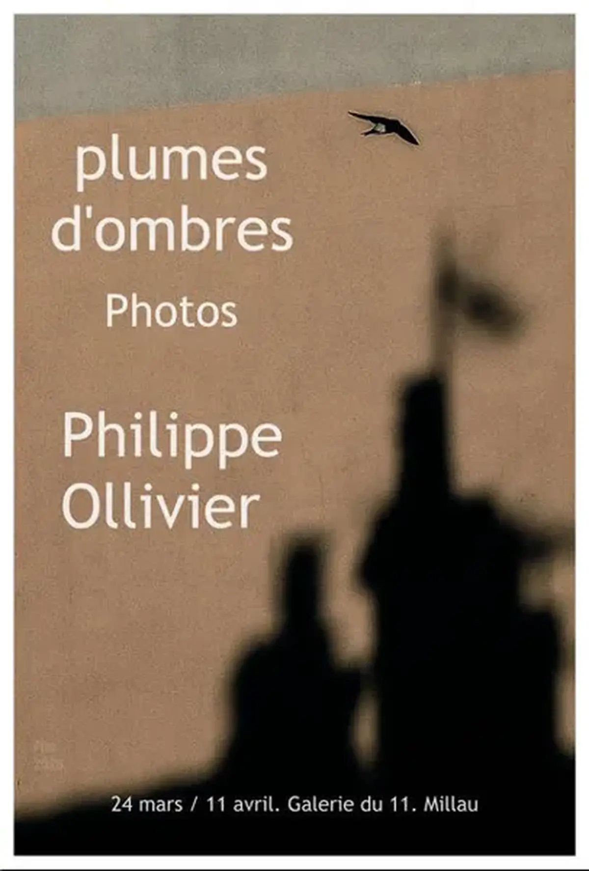 Exposition  Plumes d'ombres (photos) de Philippe Ollivier - Galerie du 11 rue de la Capelle