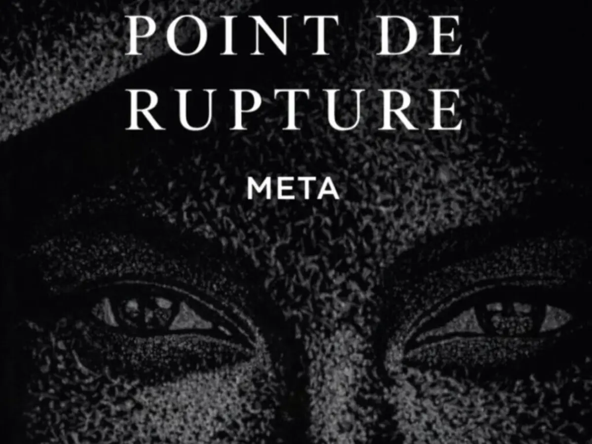 Exposition Point De Rupture De L'Artiste Meta