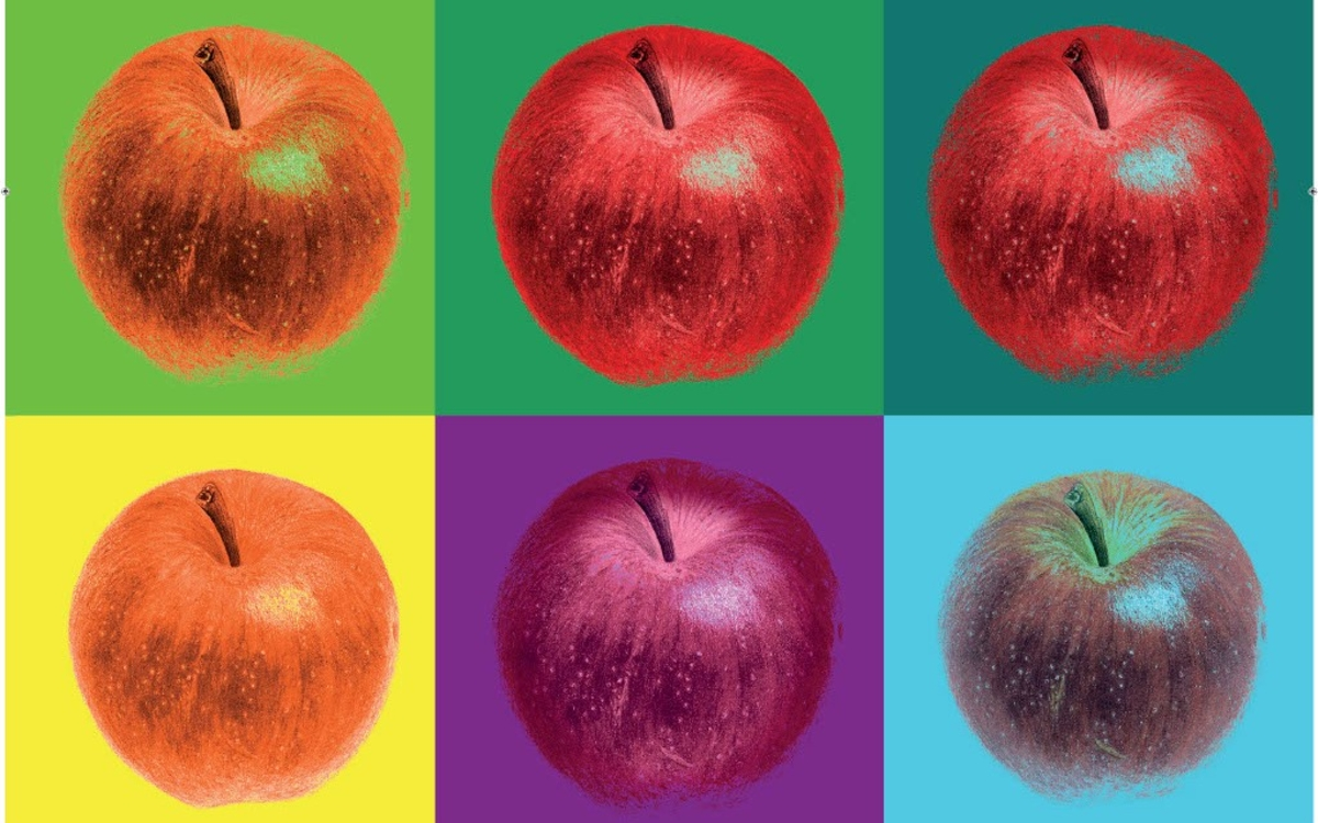 Exposition Pompompom Pommes !