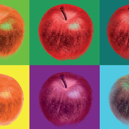 Exposition Pompompom Pommes !
