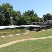 Exposition Portrait de Bestioles