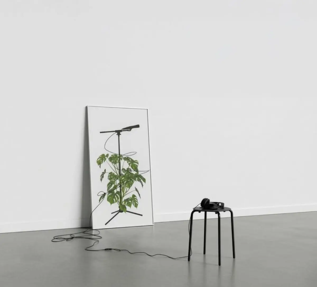 Exposition Racines parlantes