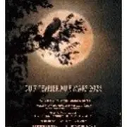 Exposition – Rapaces, seigneurs des airs