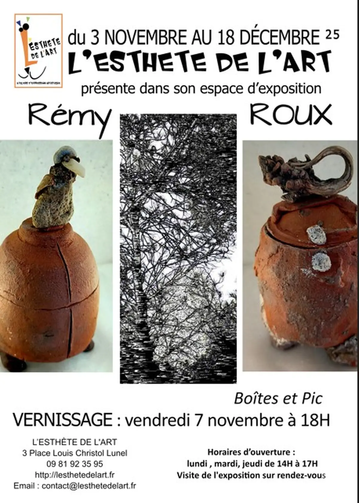 Exposition Remy Roux : Boites Et Pic