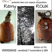 Exposition Remy Roux : Boites Et Pic