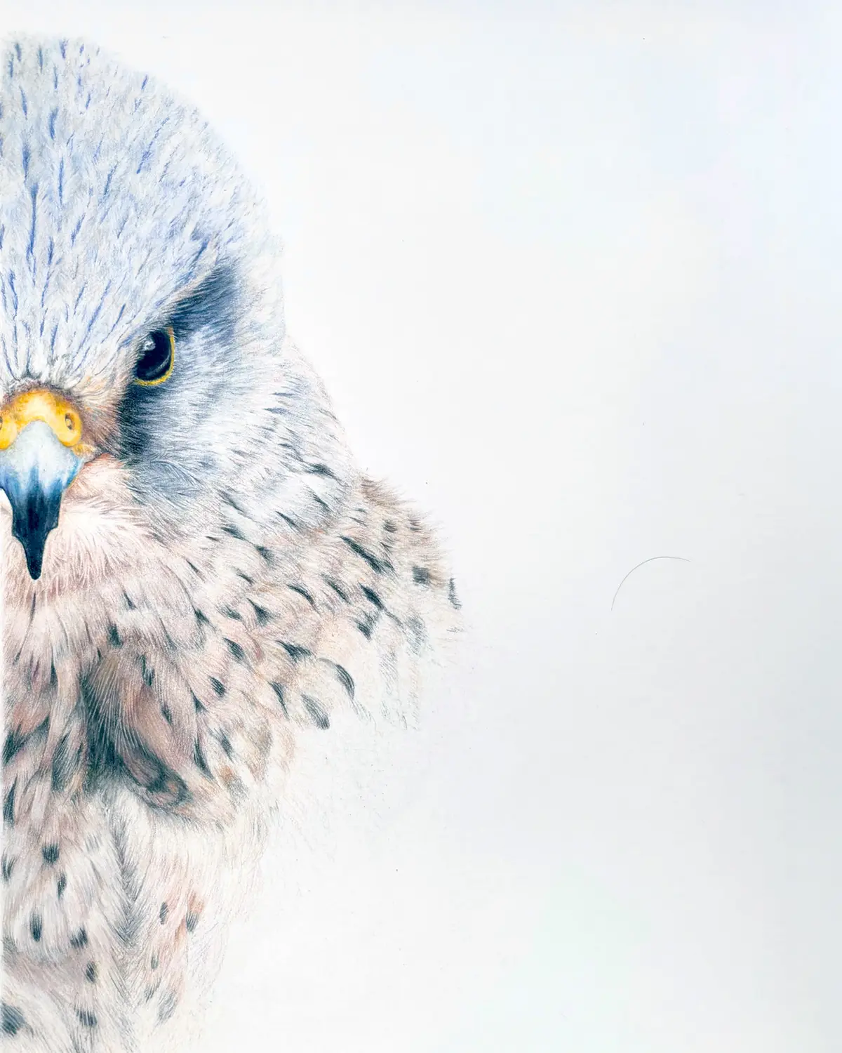 Exposition : Rêverie d'un safari immobile