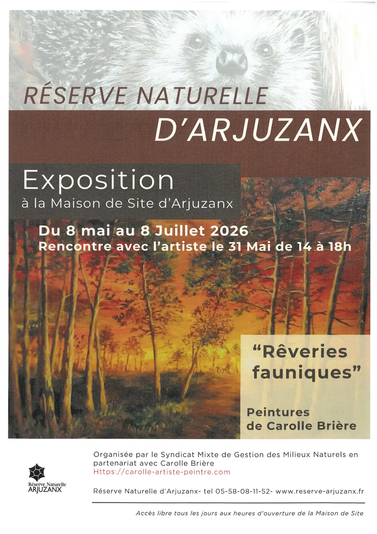 Exposition Rêverie fauniques - Réserve Naturelle Nationale D'Arjuzanx