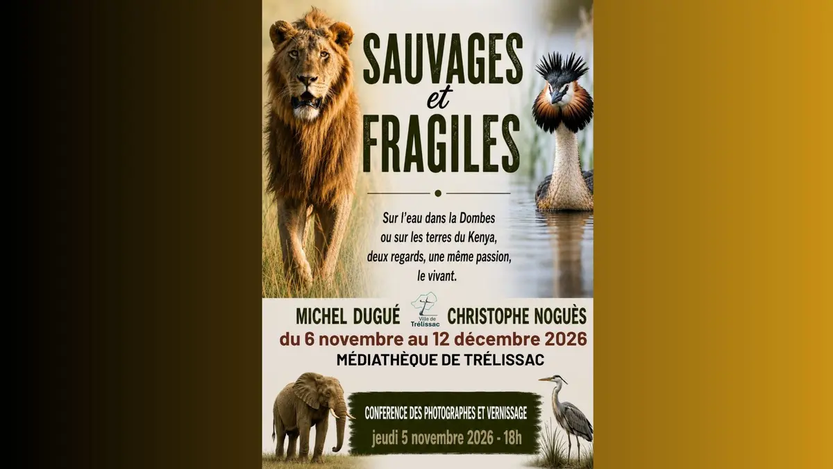 Exposition Sauvages et Fragiles