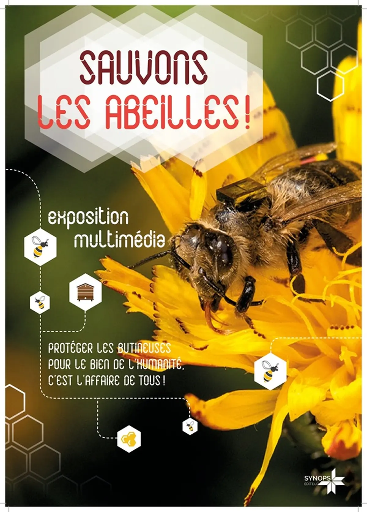 Exposition : Sauvons les abeilles