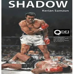 Exposition Shadow de Kerian Samzun